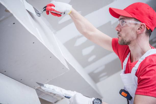 Best Mold Damage Restoration  in Troy, TX